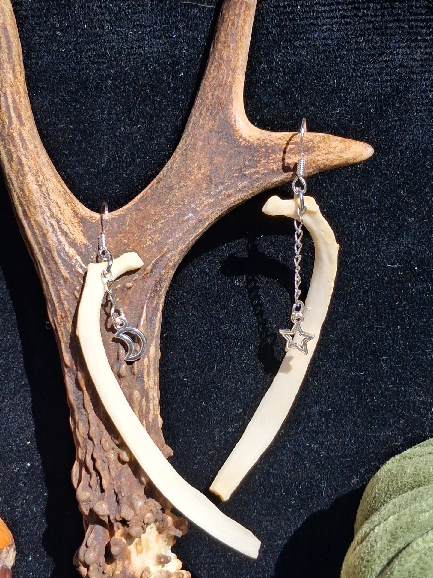 Celestial Fox Rib earrings