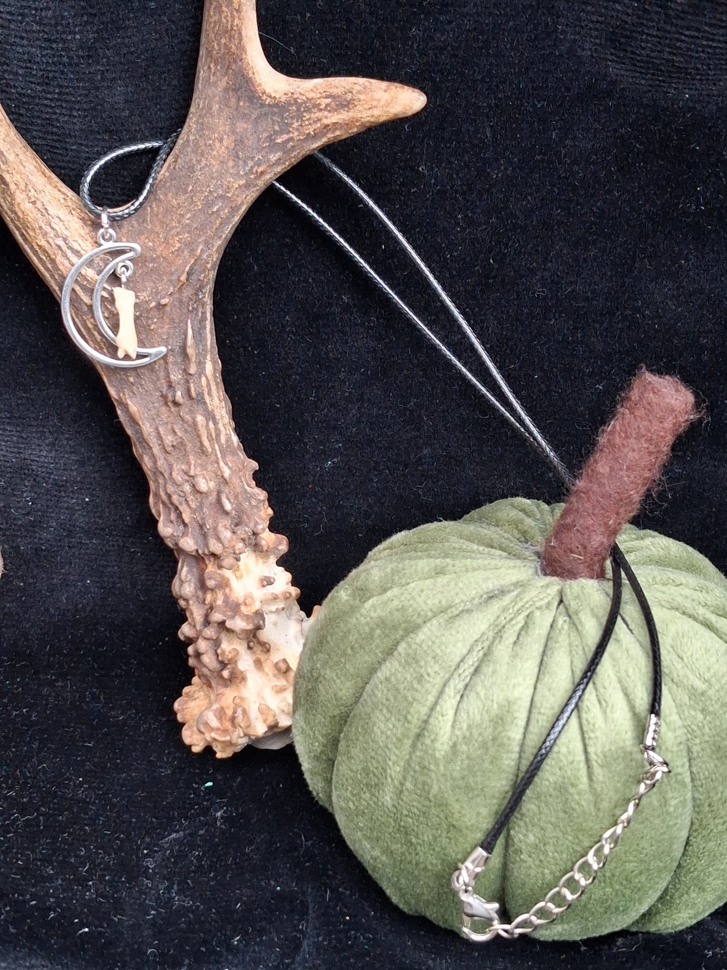 My Moon fox toe bone necklace