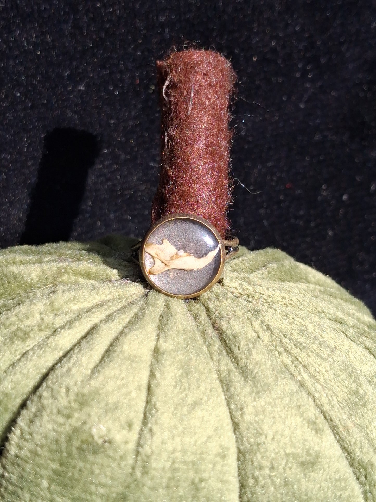 Mouse Mandible ring