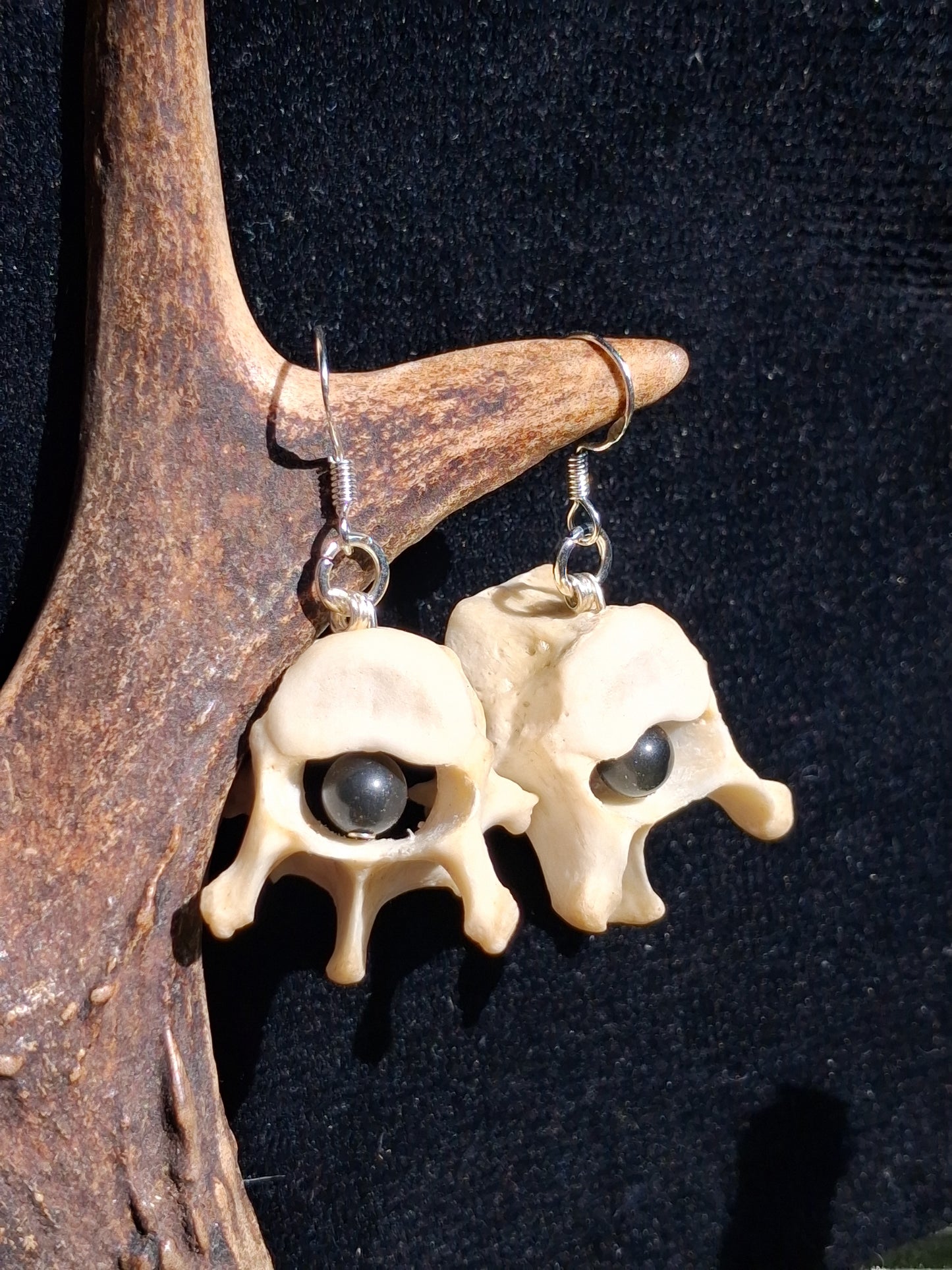 Badger Vertebrae with Obsidian
