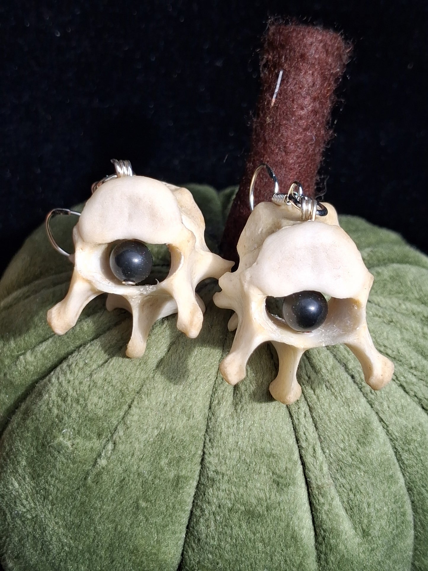 Badger Vertebrae with Obsidian