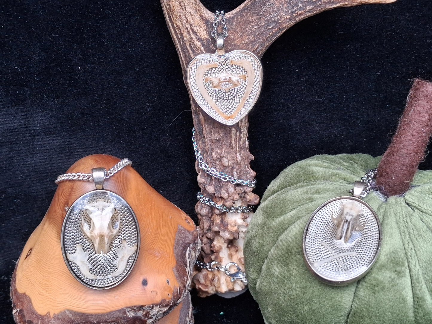 Mouse Bone necklaces encased in resin