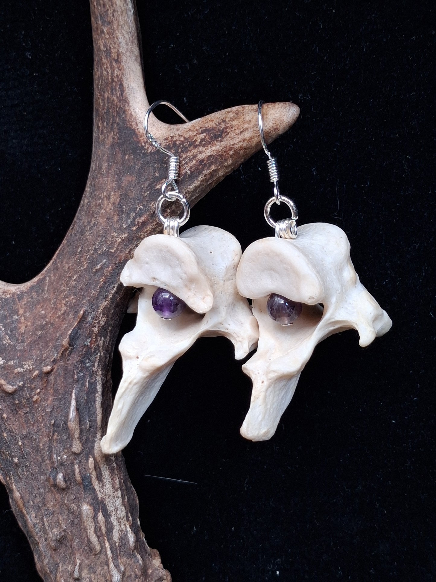 Badger Vertebrae with Amethyst