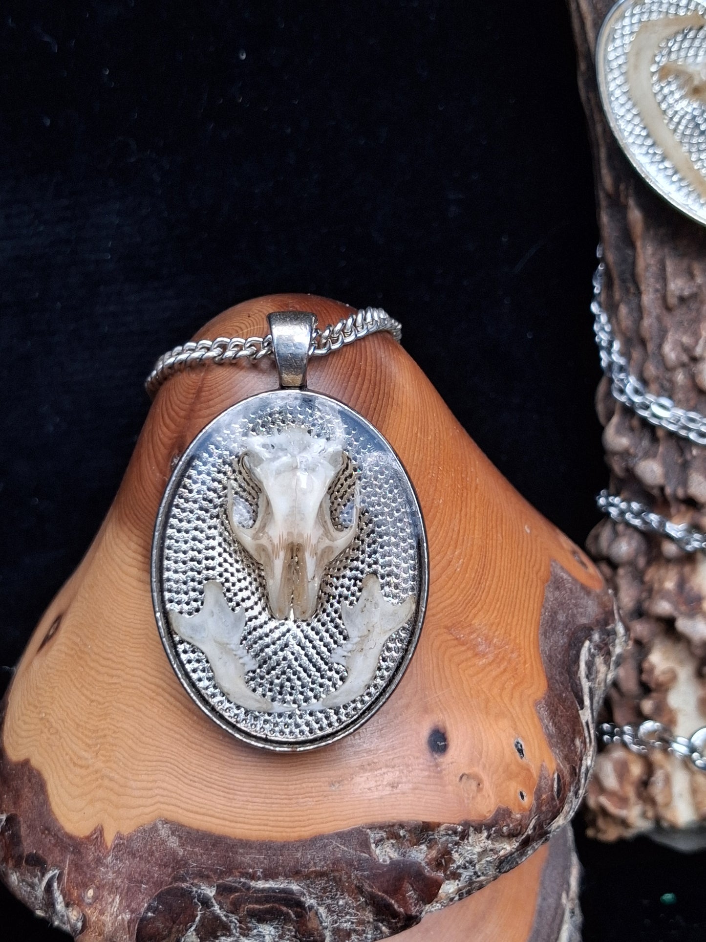Mouse Bone necklaces encased in resin
