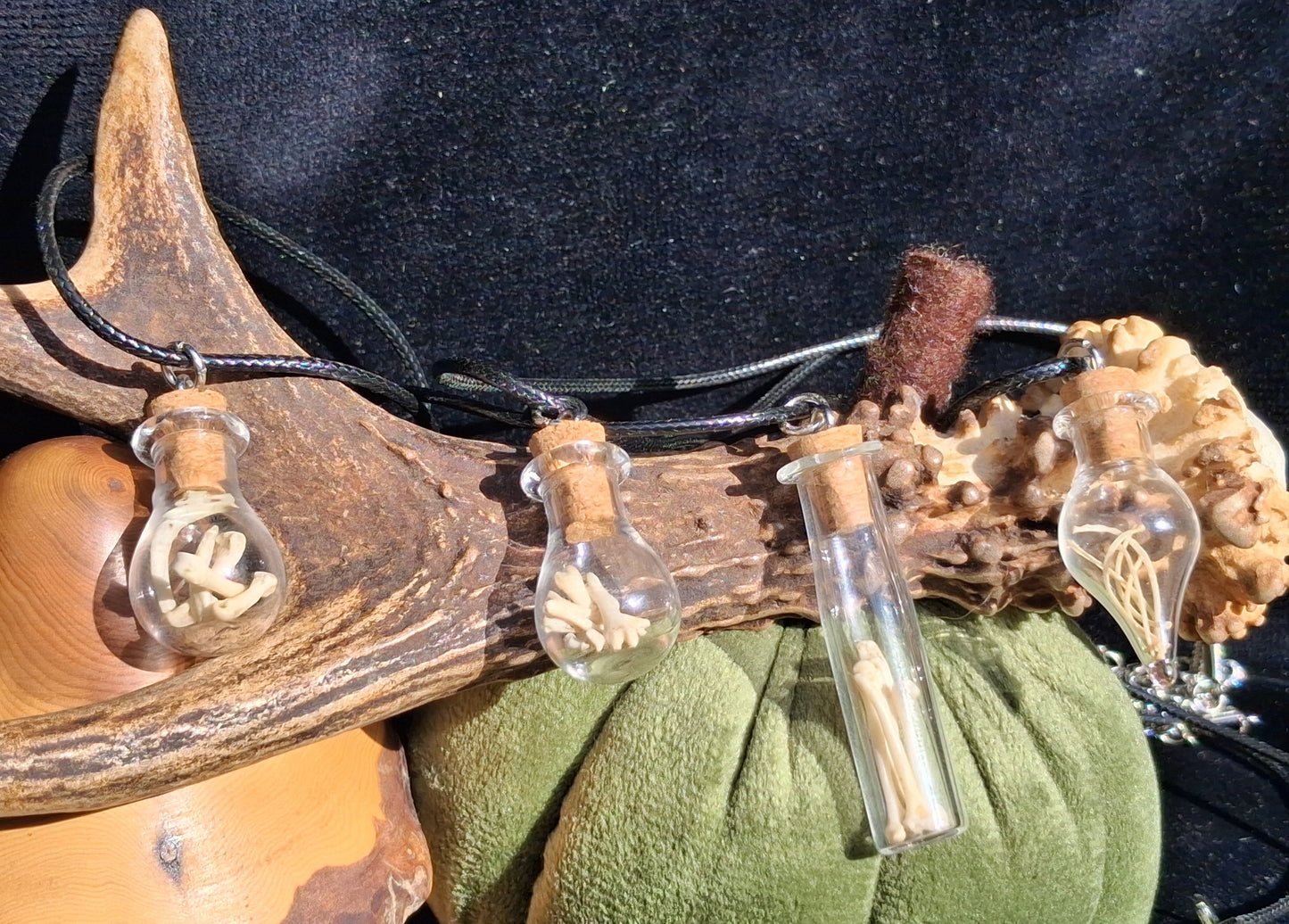 Mouse Bone Vial necklaces