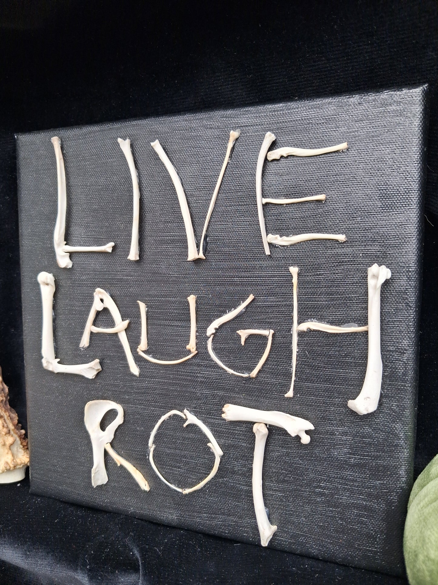 Live, Laugh, Rot Canvas Wall Art