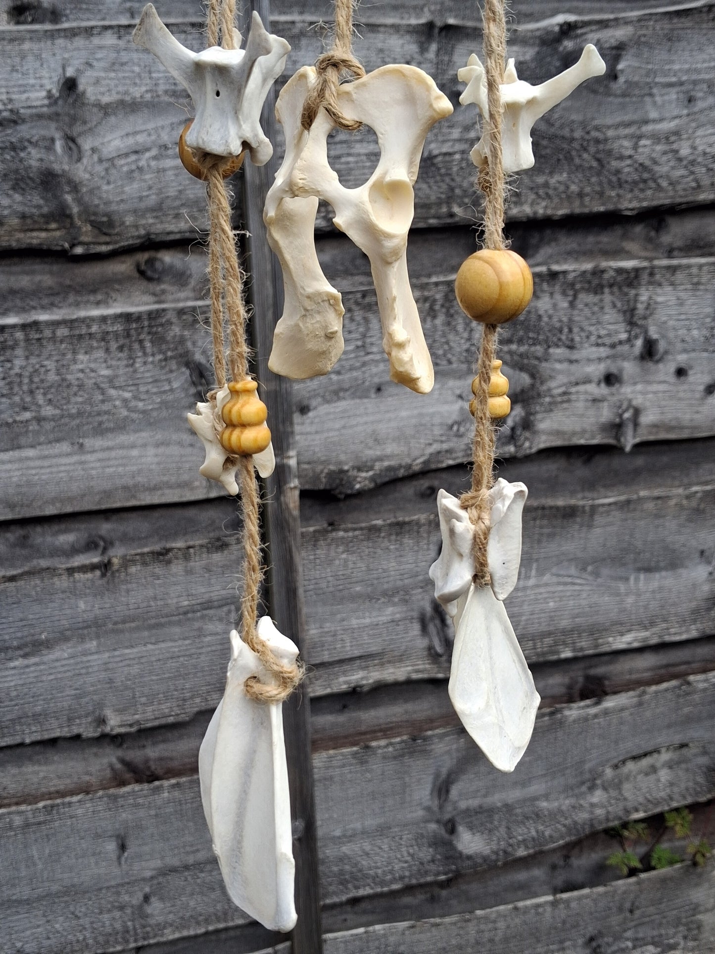 Fox Bone Mobile / Hanging