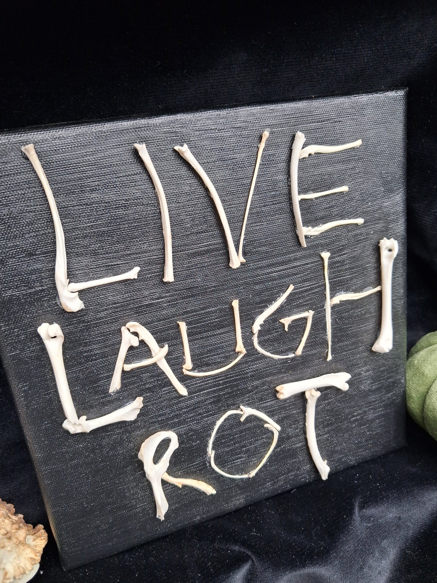 Live, Laugh, Rot Canvas Wall Art