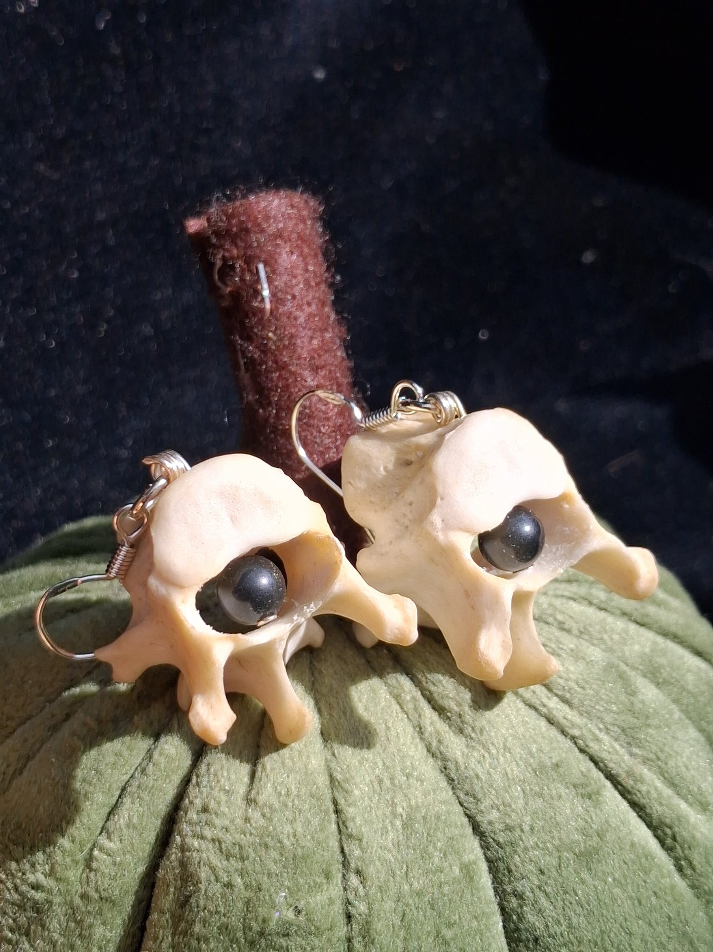 Badger Vertebrae with Obsidian