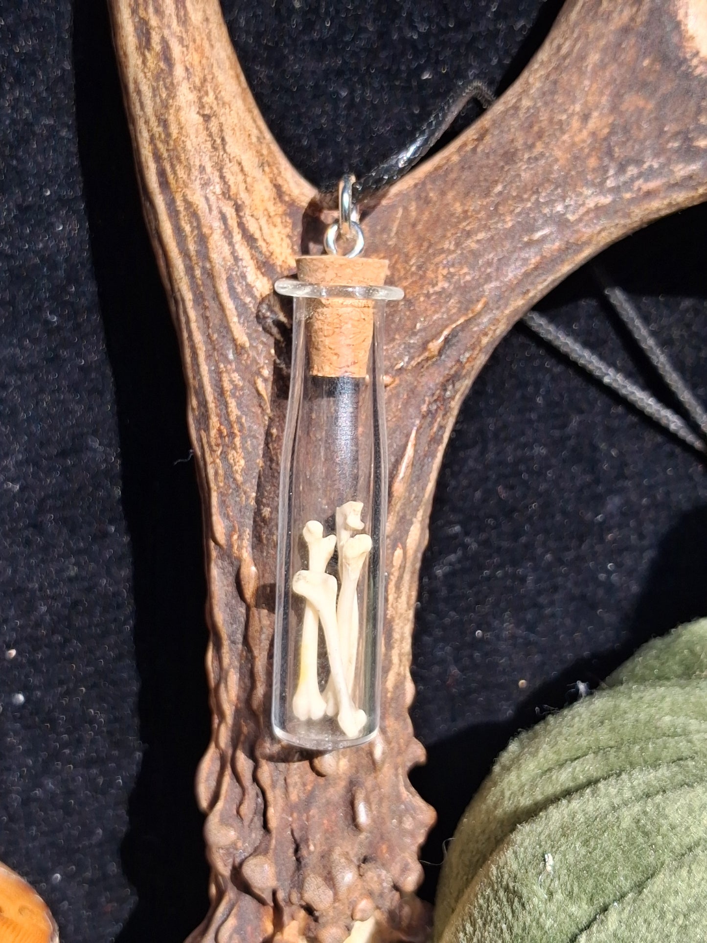 Mouse Bone Vial necklaces