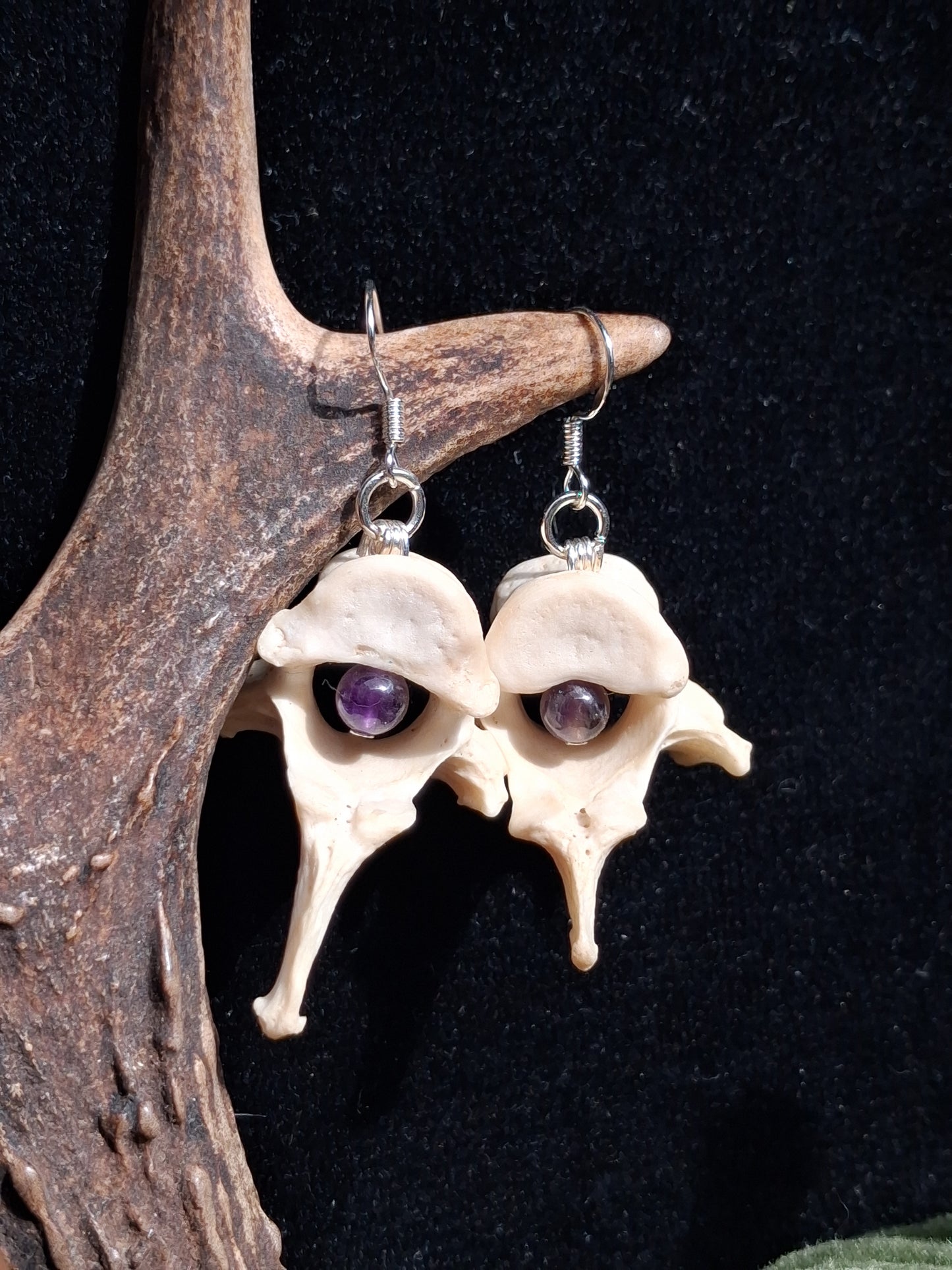 Badger Vertebrae with Amethyst