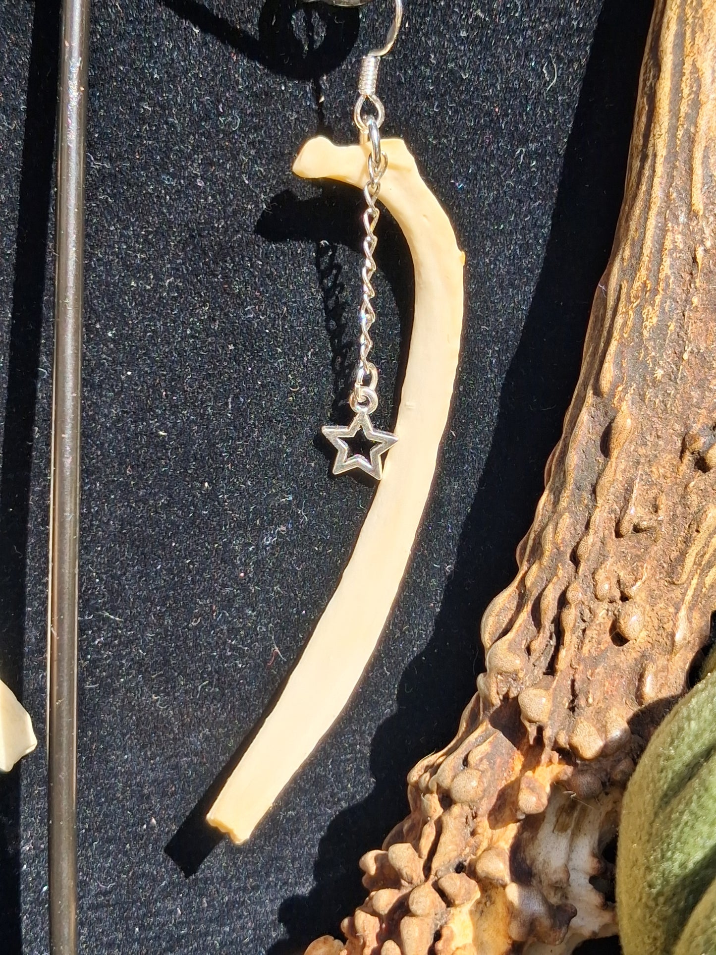Celestial Fox Rib earrings