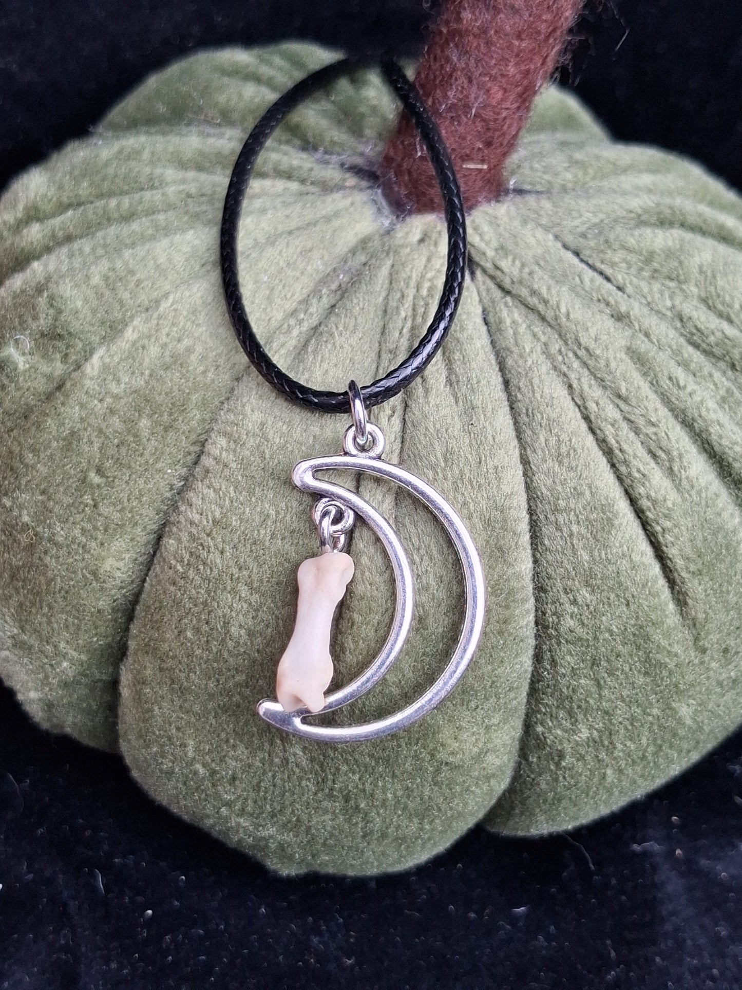 My Moon fox toe bone necklace