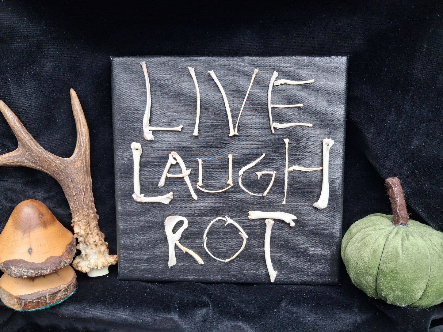 Live, Laugh, Rot Canvas Wall Art