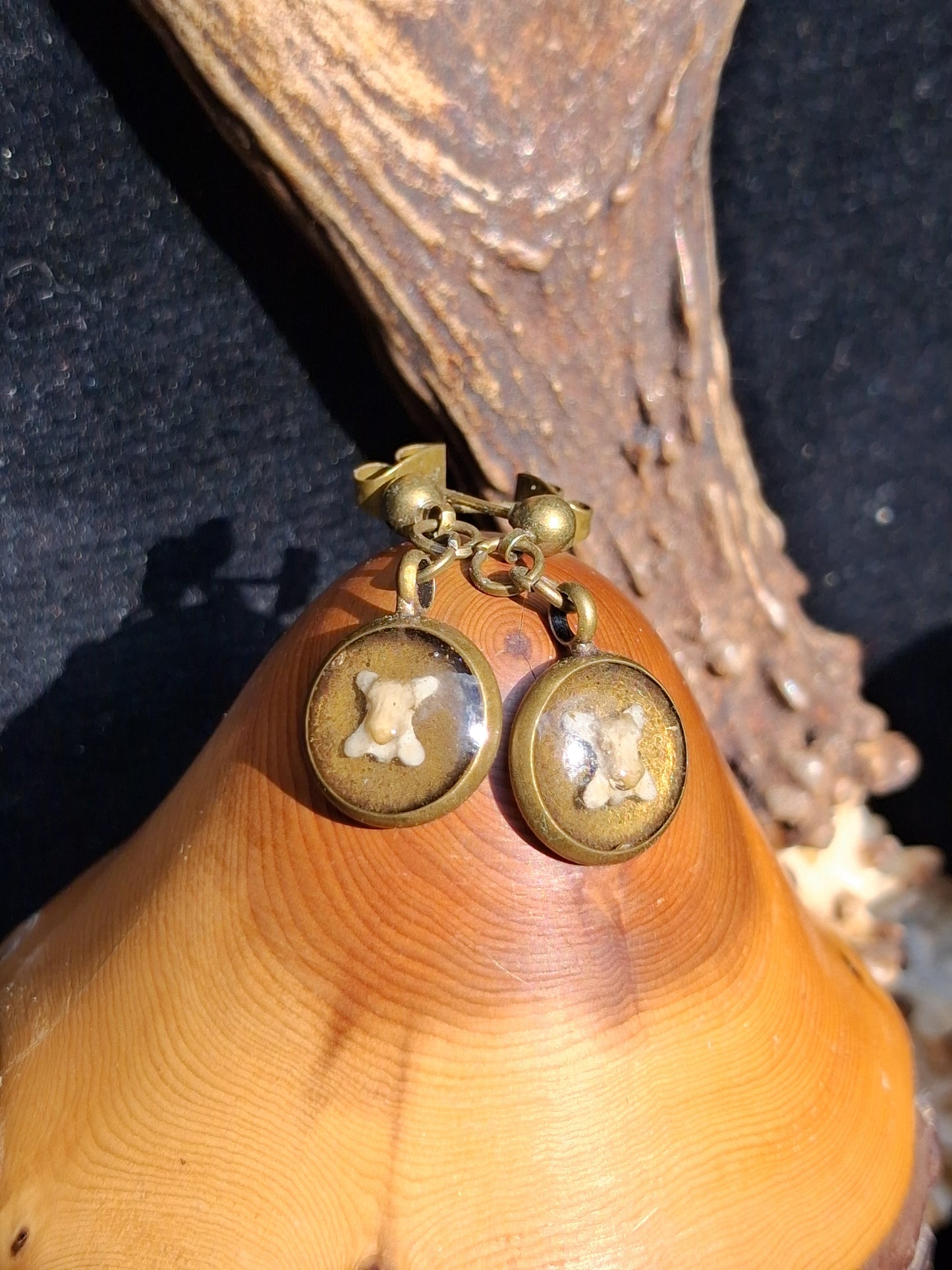 Mouse Vertebrae Drop Earrings