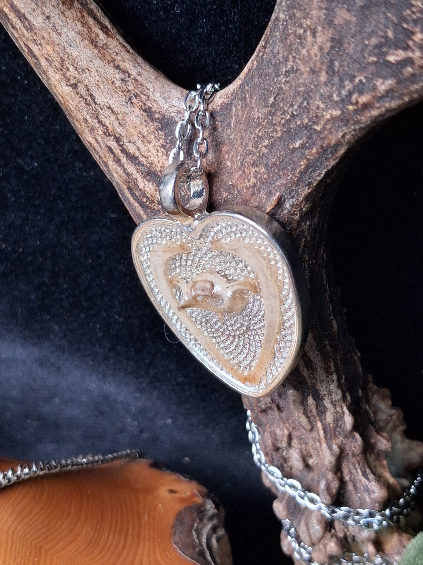 Mouse Bone necklaces encased in resin