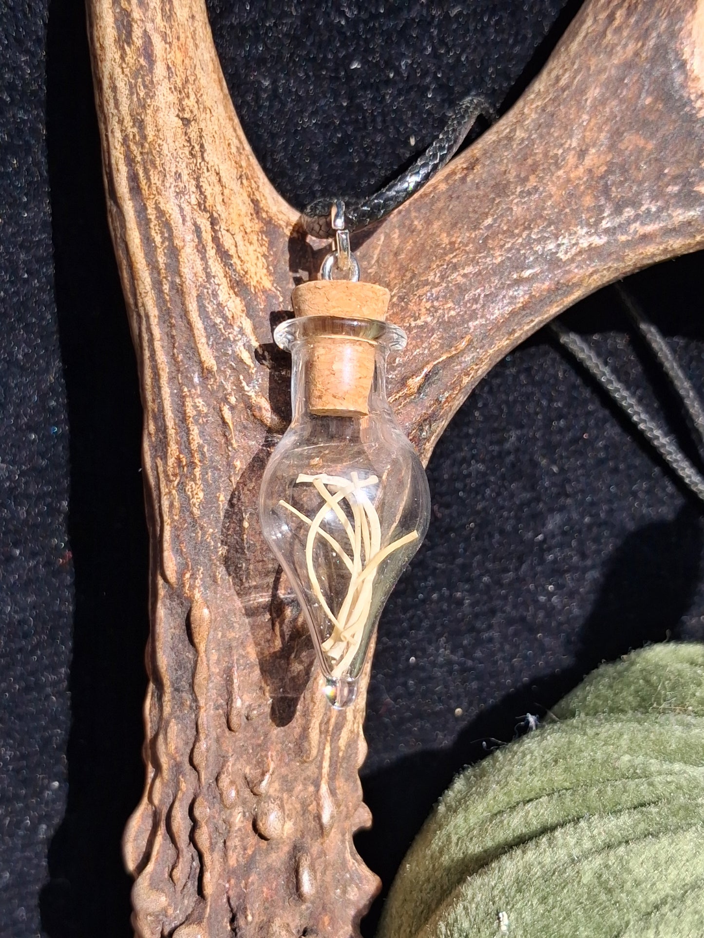 Mouse Bone Vial necklaces