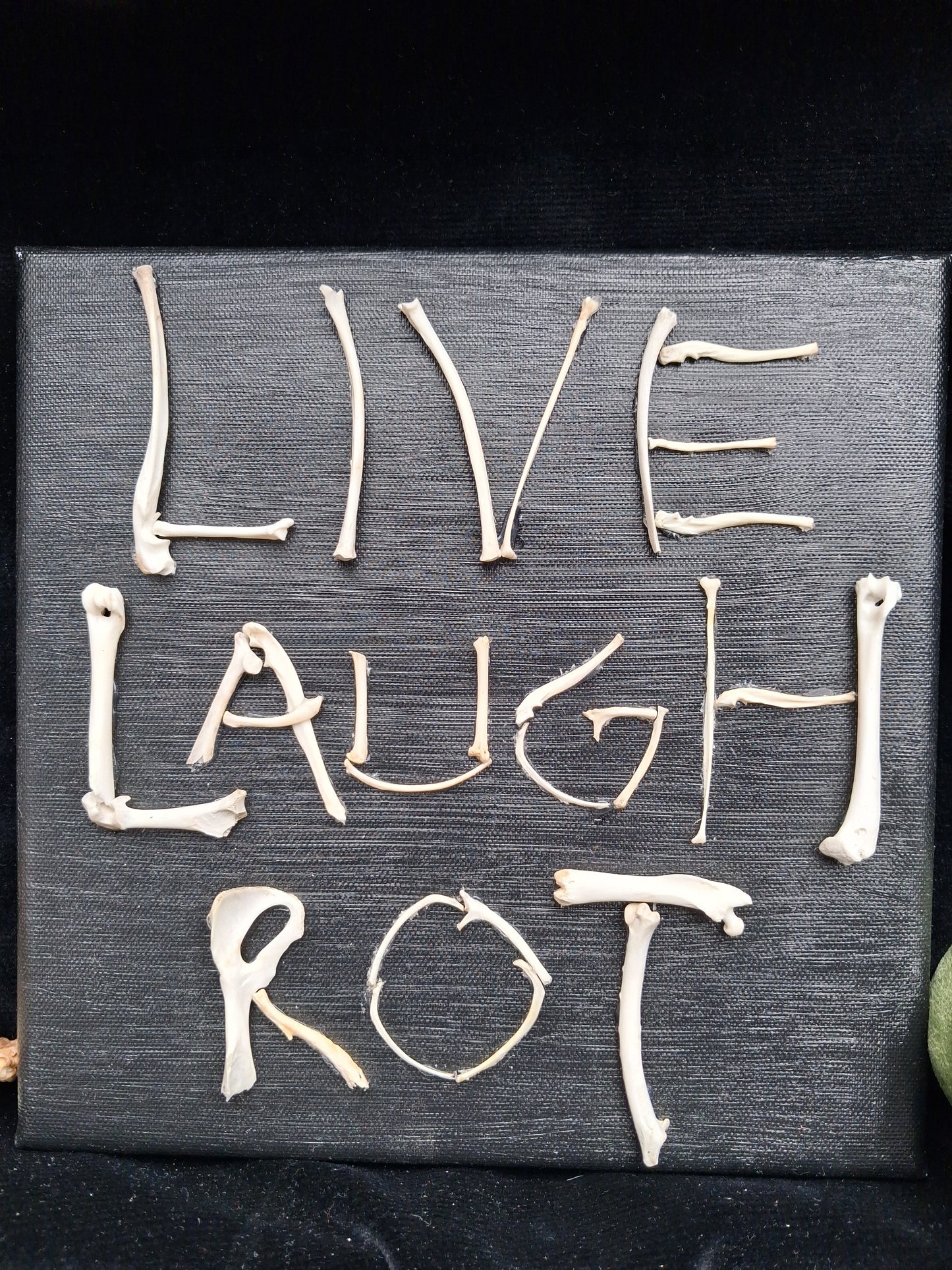 Live, Laugh, Rot Canvas Wall Art