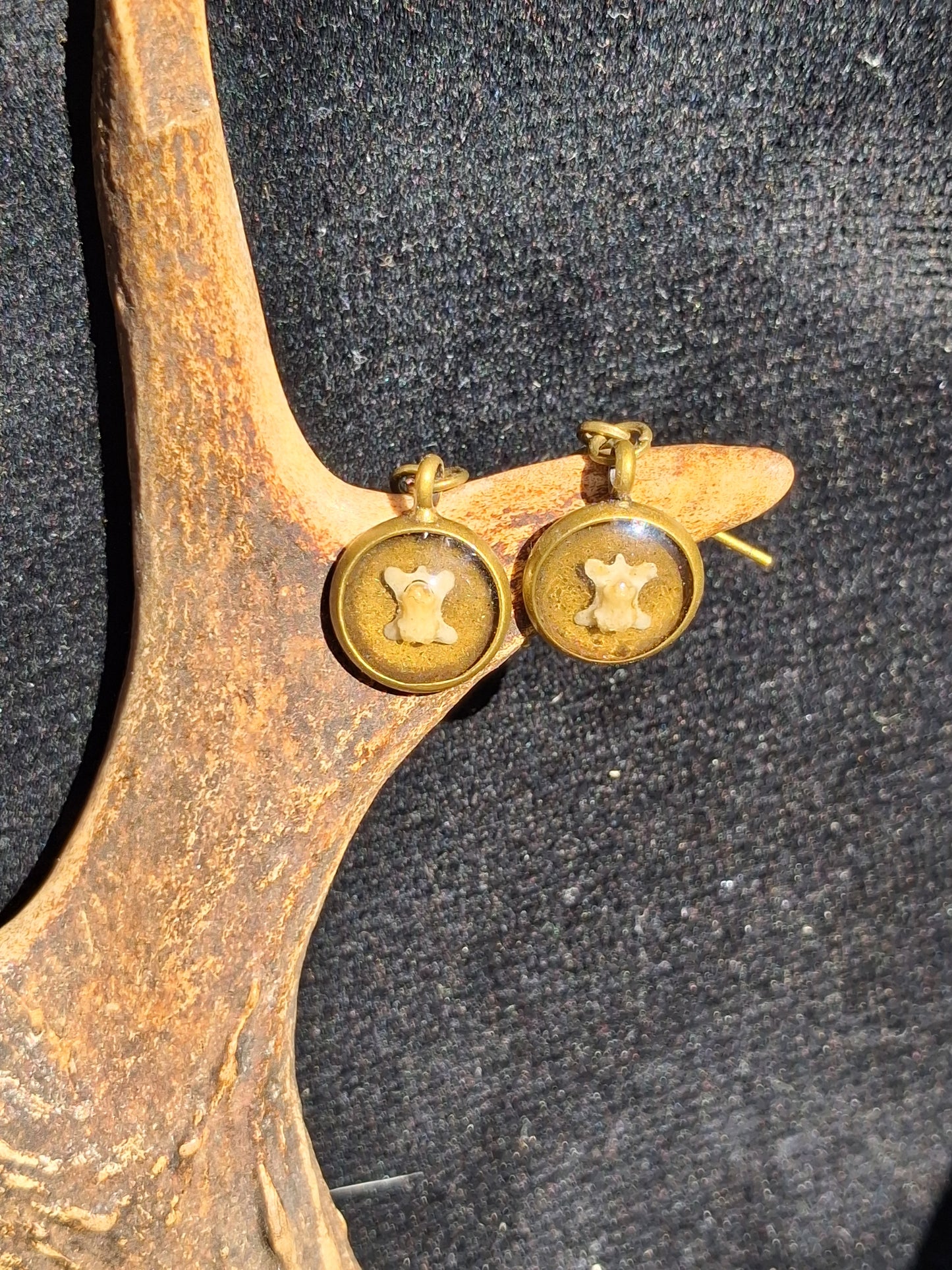 Mouse Vertebrae Drop Earrings