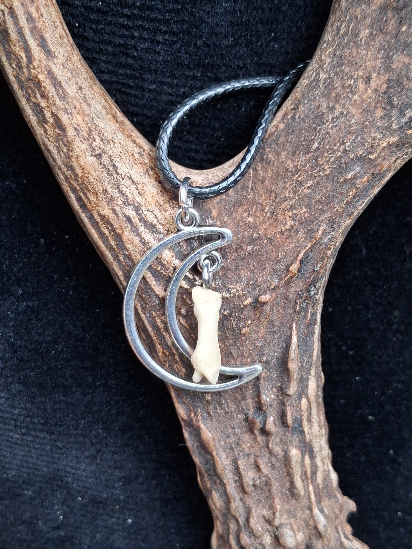 My Moon fox toe bone necklace